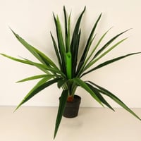 مركن زرع مصممم بشكل مميز باللون الاسود مقاس 77 سم