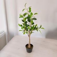 شجرة زرع صناعي بأوراق صغيرة بتصميم مميز لون اسود م...