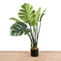شجرة صناعي مونيستيرا بمركن زرع باللون الاسود مقاس...