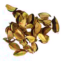 مجموعة اوراق اشجار مجففة لليكور المنزلي باللون الب...