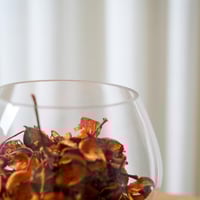 فازة زجاج بتصميم عصري باللون الشفاف مقاس 20 سم