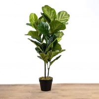 زرع شجرة البونساي في وعاء اسود مقاس 105x18 سم