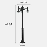 عائلة بريطاني 4200