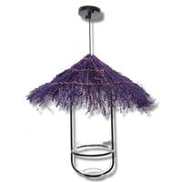 علاقي ريفي من الطبيعة