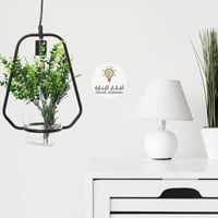 علاقي مع حوض زرع زجاجي للزرع المائي