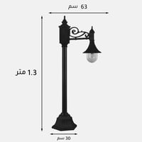عائلة بريطاني 4200