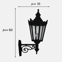 عائلة مسدس ملكي 6500