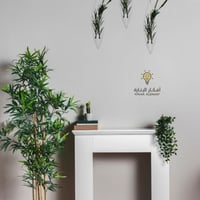 علاقي زرع H202