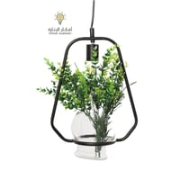 علاقي مع حوض زرع زجاجي للزرع المائي