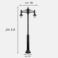 عائلة بريطاني 4200