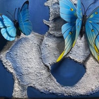 لوحة شعور الفراشات