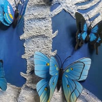 لوحة شعور الفراشات