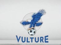 VULTURE TV 12 Months ( جهازين )