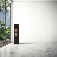 RP-8000F II كليبش سماعات ارضية لون ايبوني