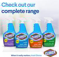 كلوركس منظف للحمامات - 750 مل