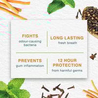 معجون أسنان هيمالايا بأعشاب النعناع 100 مل حماية و...