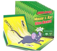 12 عبوة من مصائد غراء الفأر الكبيرة من إيزون مع ال...