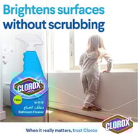 كلوركس منظف للحمامات - 750 مل