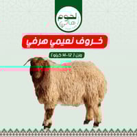 خروف نعيمي هرفي