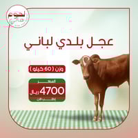 ذبيحة عجل بلدي رضيع