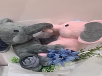 باقة الحب (فيل)