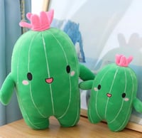 صبار حجم 40 سم