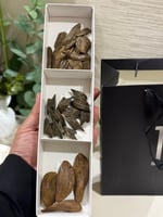 الباقة الشاملة