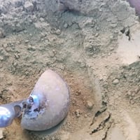 المشاط الأخضر الـطـبـيـعي