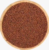 بـذور الـرشـاد