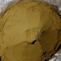 سـدر ( الأعشاب الهندية ) طـبـيـعي