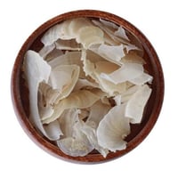 عـشـبـة الـكـثـيـرة الأصـلـيـة الـطـبـيـعـيـة