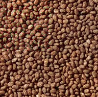 رايس كرسبي شوكولاتة إيطالي 1 كيلو