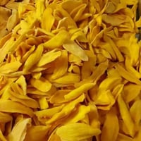 شرائح مانجو مجففة بالتبريد20g