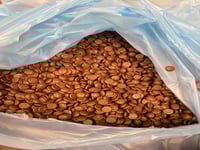 اقراص بلجيكي بالحليب 35%