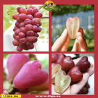 250 عقله عنب قلبي الياباني