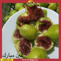 عقل تين عين مبارك