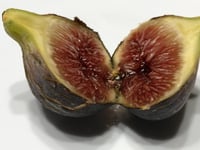 عقل تين بلاك ماديرا