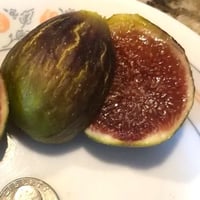 عقل تين باراتجال