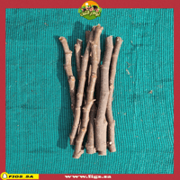 عقل تين ماري لين