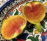 عقل تين السباعي