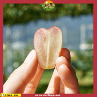 عقل عنب قلبي قليل البذور