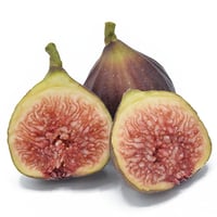 عقل تين سانجو دولتشي