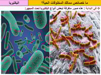 علوم رابع ابتدائي-الفصل الدراسي الأول