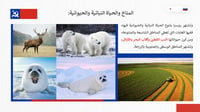 الدراسات الاجتماعية اول ثانوي
