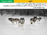 علوم خامس ابتدائي-الفصل الدراسي الأول