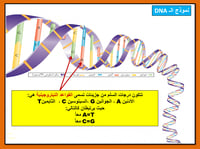 علوم ثالث متوسط-الفصل الدراسي الأول