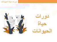 علوم ثالث ابتدائي-الفصل الدراسي الأول