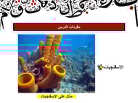 علوم رابع ابتدائي-الفصل الدراسي الأول