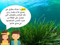 علوم ثالث ابتدائي-الفصل الدراسي الأول