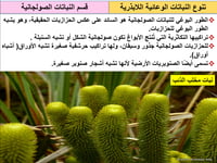 أحياء ثاني ثانوي-الفصل الدراسي الأول